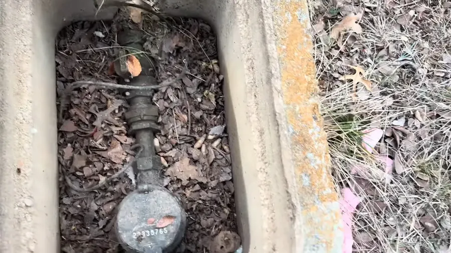 Residential water meter set in a concrete curb box for How to Read Your Lakewood Water Meter to Check for Hidden Leaks